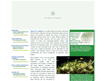 Tablet Screenshot of algalturfscrubber.com